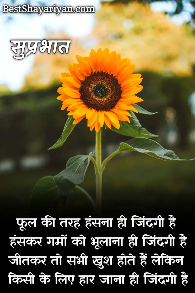 Good Moring Quotes In Hindi 17