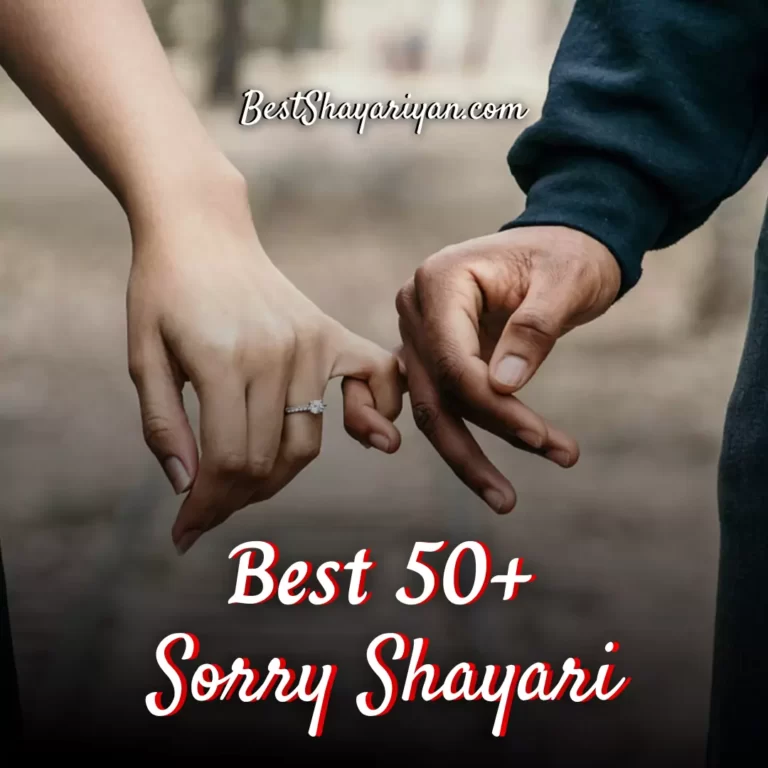 Best 50+ Sorry Shayari in Hindi (माफी शायरी) 2022