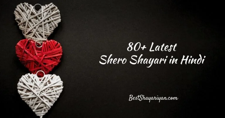 80+ Shero Shayari in Hindi (शेरो शायरी) 2024